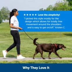 PetSafe Sure-Fit Adjustable Back Clip Dog Harness -PetSafe Kong Shop 200449 PT3. AC SS1800 V1700155387