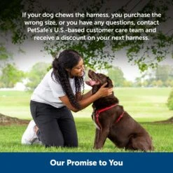 PetSafe Sure-Fit Adjustable Back Clip Dog Harness -PetSafe Kong Shop 200449 PT4. AC SS1800 V1700155388