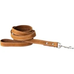 Euro-Dog Leather Dog Leash