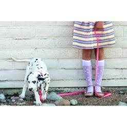 Euro-Dog PVC Dog Leash -PetSafe Kong Shop 203764 PT3. AC SS1800 V1628109869