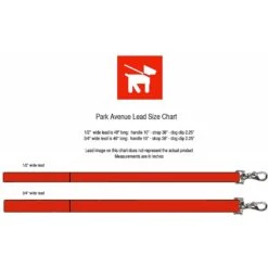 Hartman & Rose Park Avenue Leather Dog Leash 5 Hartman & Rose Park Avenue Leather Dog Leash -PetSafe Kong Shop 204305 PT2. AC SS1800 V1628221879