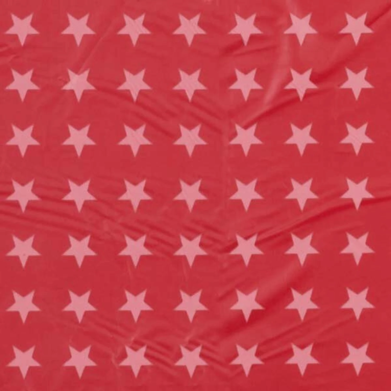 Clean Go Pet Stars & Stripes Dog Waste Bags, 160 Count 4 Clean Go Pet Stars & Stripes Dog Waste Bags, 160 Count - Image 4