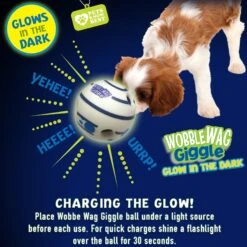 Wobble Wag Giggle Ball Glow In The Dark Squeaky Dog Toy -PetSafe Kong Shop 205654 PT3. AC SS1800 V1572363196