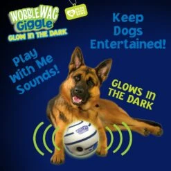 Wobble Wag Giggle Ball Glow In The Dark Squeaky Dog Toy -PetSafe Kong Shop 205654 PT4. AC SS1800 V1572363180