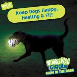 Wobble Wag Giggle Ball Glow In The Dark Squeaky Dog Toy -PetSafe Kong Shop 205654 PT6. AC SS1800 V1572363199