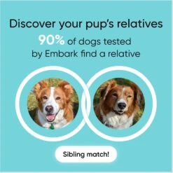 Embark Breed Identification DNA Test For Dogs -PetSafe Kong Shop 206157 PT4. AC SS1800 V1682529108