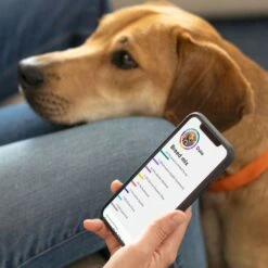 Embark Breed Identification DNA Test For Dogs -PetSafe Kong Shop 206157 PT7. AC SS1800 V1682529141