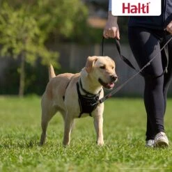 Halti Nylon No Pull Dog Harness -PetSafe Kong Shop 206373 PT4. AC SS1800 V1694811568