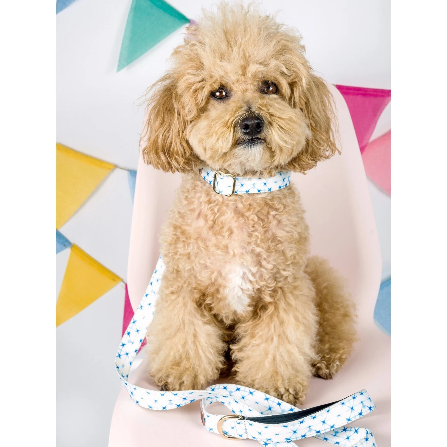 Pink Papyrus Drew Polyester Dog Leash 4 Pink Papyrus Drew Polyester Dog Leash - Image 4