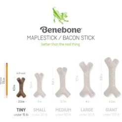 Benebone Bacon Flavor Tough Puppy Chew Toy -PetSafe Kong Shop 206947 PT4. AC SS1800 V1612409560