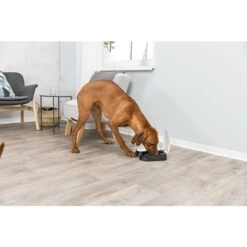 TRIXIE TX2 Automatic Dog & Cat Dispenser -PetSafe Kong Shop 207401 PT1. AC SS1800 V1572269028