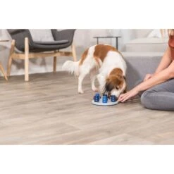 TRIXIE Solitaire Dog Activity Strategy Game Dog Toy -PetSafe Kong Shop 207413 PT5. AC SS1800 V1668617385