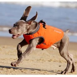 Chai's Choice High-Performance Foul Weather Waterproof Polyester Reflective Back Clip Dog Harness -PetSafe Kong Shop 207571 PT4. AC SS1800 V1606687022