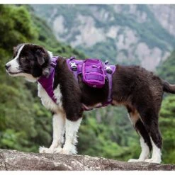 Chai's Choice Rover Scout High-Performance Tactical Military Backpack Waterproof Dog Harness -PetSafe Kong Shop 207608 PT7. AC SS1800 V1627417869