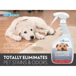 Paw Inspired Professional Dog Stain & Odor Eliminator Spray, 32-oz Bottle -PetSafe Kong Shop 208508 PT2. AC SS1800 V1582726074