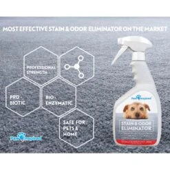 Paw Inspired Professional Dog Stain & Odor Eliminator Spray, 32-oz Bottle -PetSafe Kong Shop 208508 PT3. AC SS1800 V1582726083