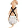 Paw Inspired Dog Diaper Suspenders