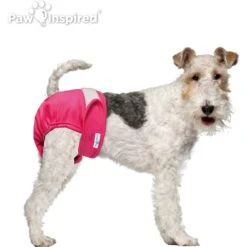 Paw Inspired Washable Female Dog Diaper 11 Paw Inspired Washable Female Dog Diaper -PetSafe Kong Shop 208541 PT3. AC SS1800 V1631148400