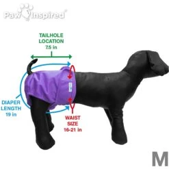 Paw Inspired Washable Female Dog Diaper 12 Paw Inspired Washable Female Dog Diaper -PetSafe Kong Shop 208541 PT4. AC SS1800 V1631142082
