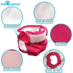 Paw Inspired Washable Female Dog Diaper 14 Paw Inspired Washable Female Dog Diaper -PetSafe Kong Shop 208541 PT6. AC SS1800 V1631159198