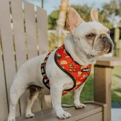 Pawmigo Taco Tuesday Mesh Back Clip Dog Harness 6 Pawmigo Taco Tuesday Mesh Back Clip Dog Harness -PetSafe Kong Shop 208987 PT2. AC SS1800 V1576099978