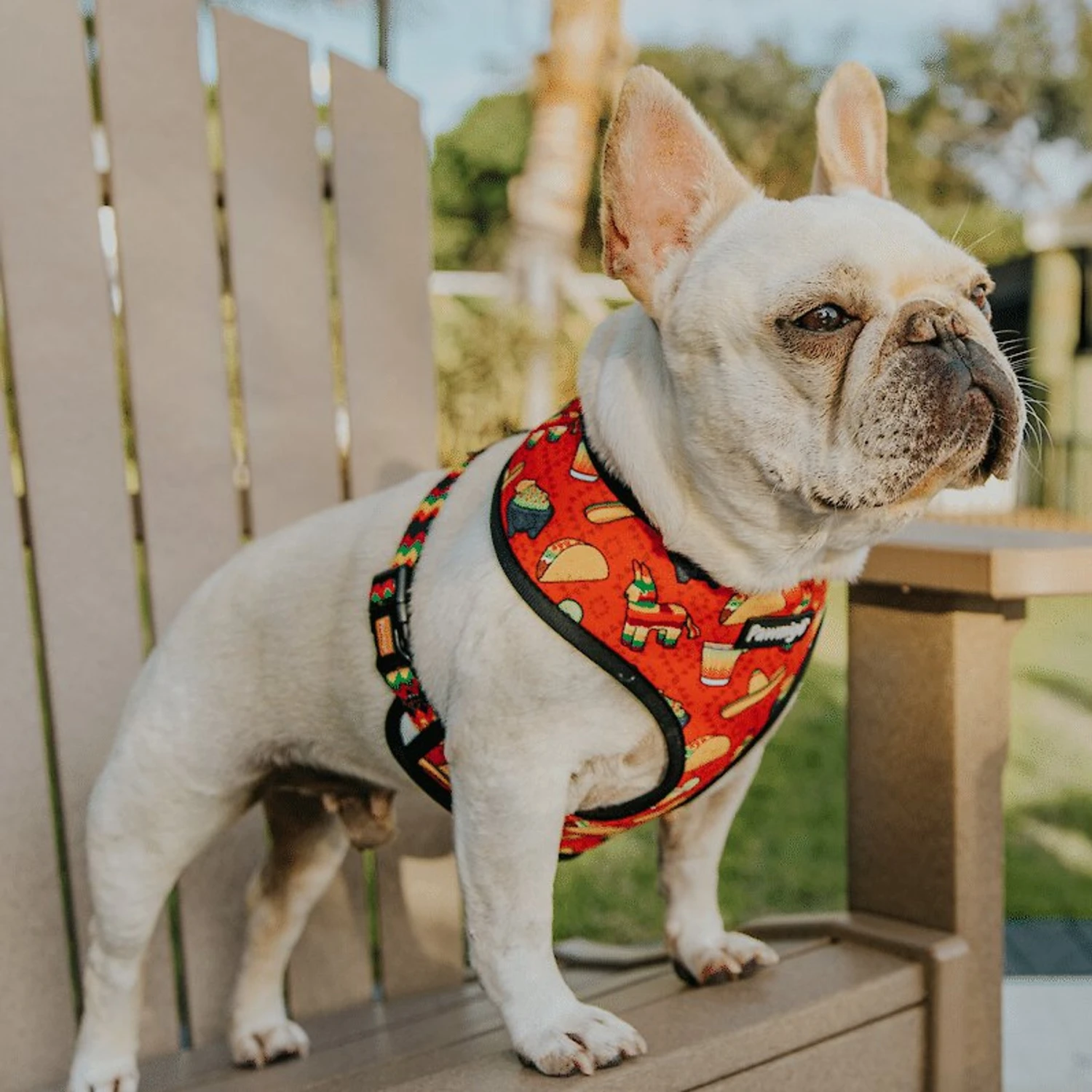 Pawmigo Taco Tuesday Mesh Back Clip Dog Harness 3 Pawmigo Taco Tuesday Mesh Back Clip Dog Harness - Image 3