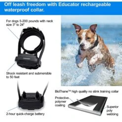 Educator By E-Collar Technologies Educator 1/2 Mile Pro Advanced Waterproof Dog Training Collar, Black 11 Educator By E-Collar Technologies Educator 1/2 Mile Pro Advanced Waterproof Dog Training Collar, Black -PetSafe Kong Shop 210073 PT5. AC SS1800 V1627312271