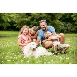 Educator By E-Collar Technologies Educator E-Fence Underground Fence Dog Containment System Boundary Flags -PetSafe Kong Shop 210089 PT5. AC SS1800 V1627312589