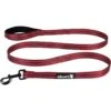 Alcott Adventure Polyester Reflective Dog Leash