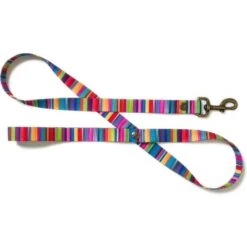 Merry Jane & Thor Kaleidoscope Polyester Dog Leash
