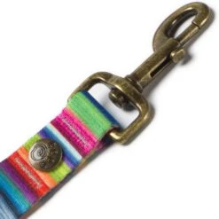 Merry Jane & Thor Kaleidoscope Polyester Dog Leash -PetSafe Kong Shop 211455 PT3. AC SS1800 V1628303806