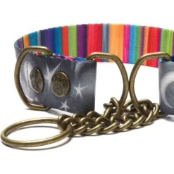 Merry Jane & Thor Starry Night Polyester Martingale Dog Collar -PetSafe Kong Shop 211468 PT3. AC SS1800 V1628232692