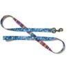 Merry Jane & Thor Starry Night Polyester Dog Leash