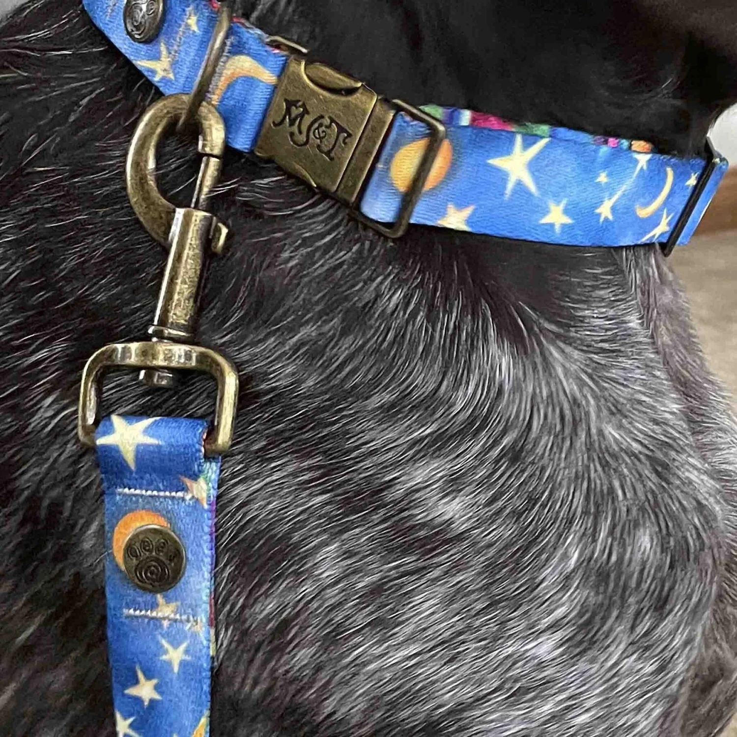 Merry Jane & Thor Starry Night Polyester Dog Leash 3 Merry Jane & Thor Starry Night Polyester Dog Leash - Image 3