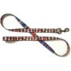 Merry Jane & Thor Looking Glass Polyester Dog Leash