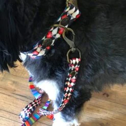 Merry Jane & Thor Looking Glass Polyester Dog Leash -PetSafe Kong Shop 211484 pt1. AC SS1800 V1575323001