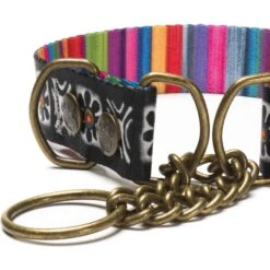 Merry Jane & Thor Tribeca Polyester Martingale Dog Collar -PetSafe Kong Shop 211493 PT3. AC SS1800 V1628304141