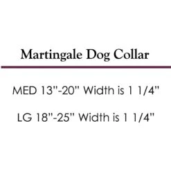 Merry Jane & Thor Tribeca Polyester Martingale Dog Collar -PetSafe Kong Shop 211493 PT5. AC SS1800 V1628306832