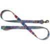 Merry Jane & Thor GangstaMutt Wag Swag Polyester Dog Leash