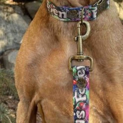 Merry Jane & Thor GangstaMutt Best Friends Forever Polyester Dog Leash -PetSafe Kong Shop 211551 PT2. AC SS1800 V1628222485