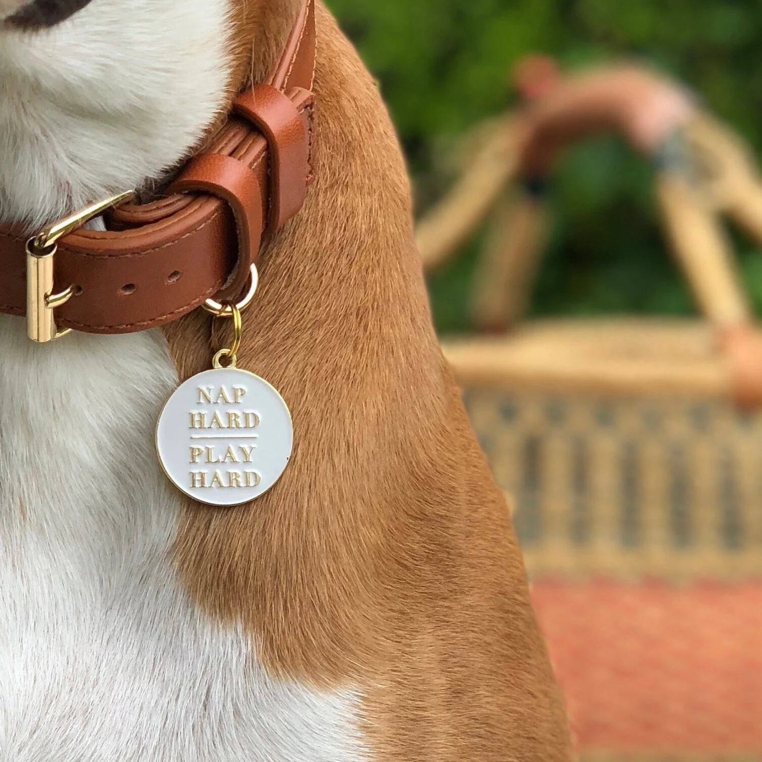 Two Tails Pet Company Nap Hard Play Hard Personalized Dog ID Tag 3 Two Tails Pet Company Nap Hard Play Hard Personalized Dog ID Tag - Image 3