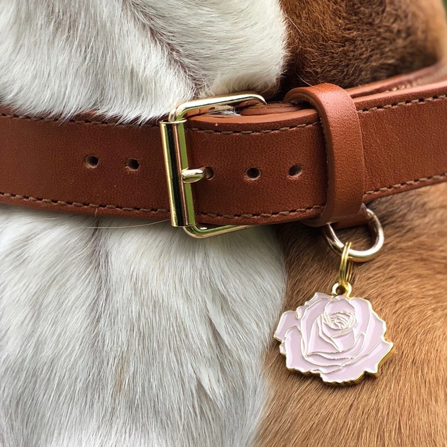 Two Tails Pet Company Rose Personalized Dog & Cat ID Tag 3 Two Tails Pet Company Rose Personalized Dog & Cat ID Tag - Image 3