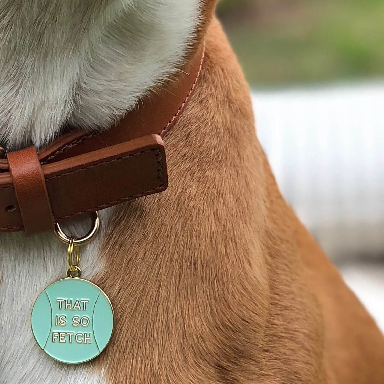 Two Tails Pet Company That's So Fetch Personalized Dog & Cat ID Tag 3 Two Tails Pet Company That's So Fetch Personalized Dog & Cat ID Tag - Image 3