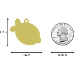 Two Tails Pet Company Main Squeeze Personalized Dog & Cat ID Tag -PetSafe Kong Shop 211585 PT4. AC SS1800 V1617687398