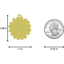 Two Tails Pet Company Daisy Personalized Dog & Cat ID Tag -PetSafe Kong Shop 211589 PT4. AC SS1800 V1617702412