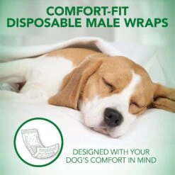 Vet's Best Comfort-Fit Disposable Male Dog Wraps -PetSafe Kong Shop 213065 PT2. AC SS1800 V1575652120