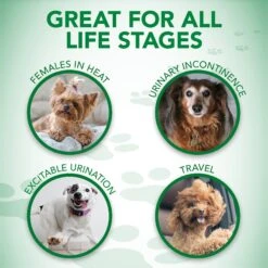 Vet's Best Comfort-Fit Disposable Female Dog Diapers 14 Vet's Best Comfort-Fit Disposable Female Dog Diapers -PetSafe Kong Shop 213071 PT6. AC SS1800 V1575652103