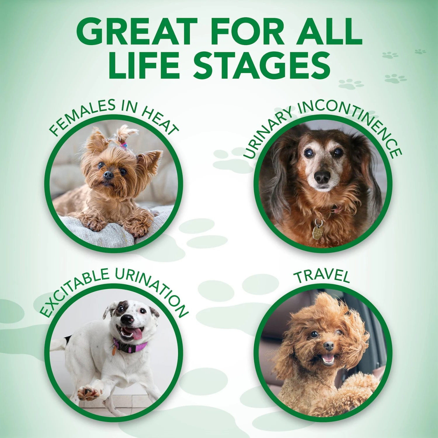 Vet's Best Comfort-Fit Disposable Female Dog Diapers 7 Vet's Best Comfort-Fit Disposable Female Dog Diapers - Image 7