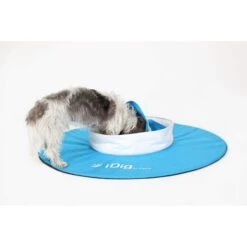 IFetch IDig Go Dog Toy, Blue 8 IFetch IDig Go Dog Toy, Blue -PetSafe Kong Shop 213248 PT2. AC SS1800 V1575486216