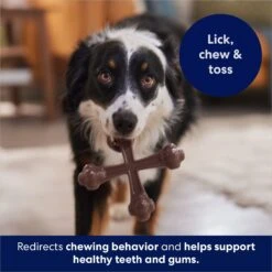 Frisco Bacon Flavor Tough Nylon Dog Chew Toy 10 Frisco Bacon Flavor Tough Nylon Dog Chew Toy -PetSafe Kong Shop 213430 PT5. AC SS1800 V1691783968